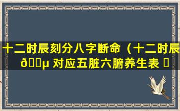 十二时辰刻分八字断命（十二时辰 🌵 对应五脏六腑养生表 ☘ ）